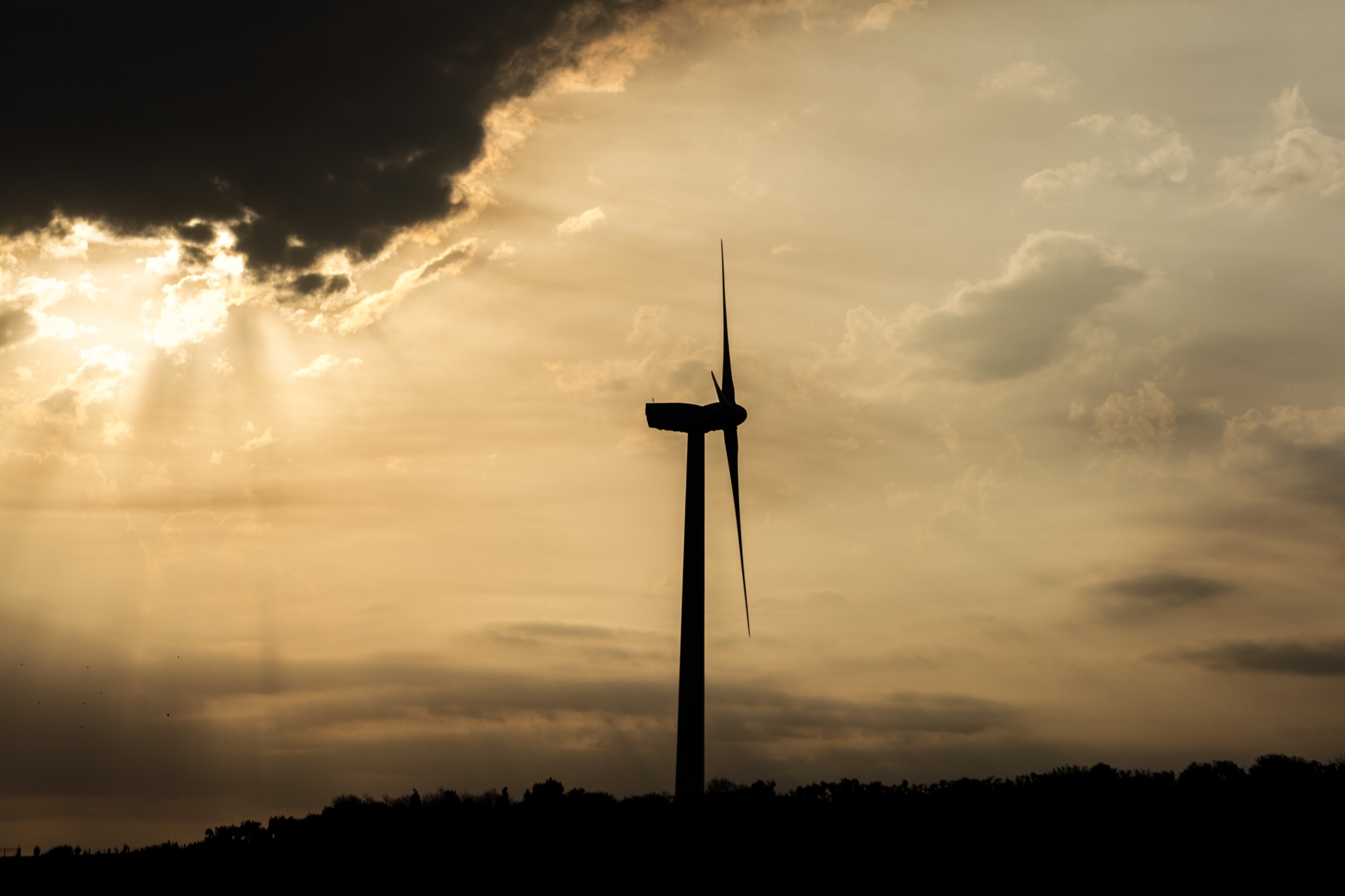 Power sharing: The politics of European-Tunisian energy cooperation