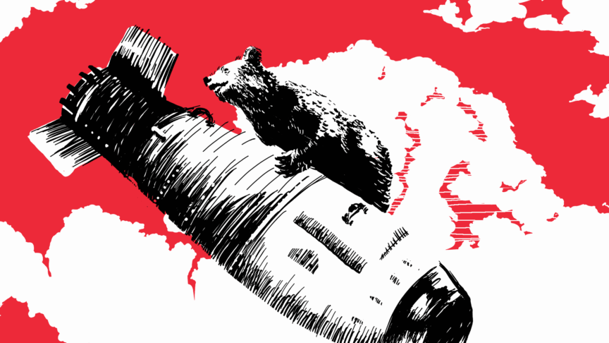 BearBomba
