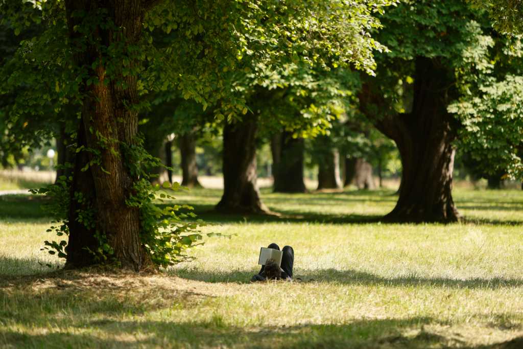 Ein Foto zeigt einen Mann, auf dem Rücken liegend und ein Buch lesend, im schattigen Gras unter großen Bäumen in einem Park.