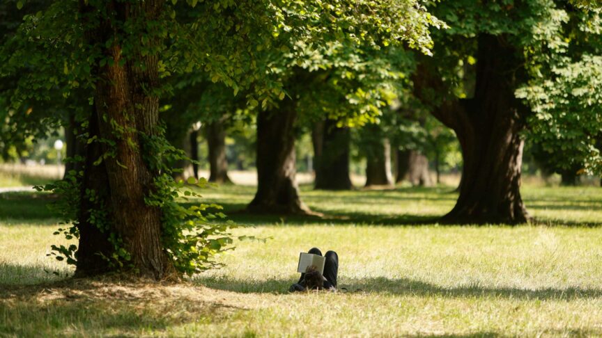 Ein Foto zeigt einen Mann, auf dem Rücken liegend und ein Buch lesend, im schattigen Gras unter großen Bäumen in einem Park.