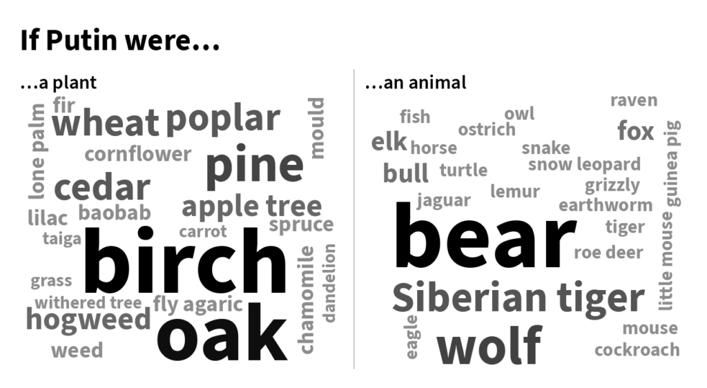 Wordcloud putin desktop