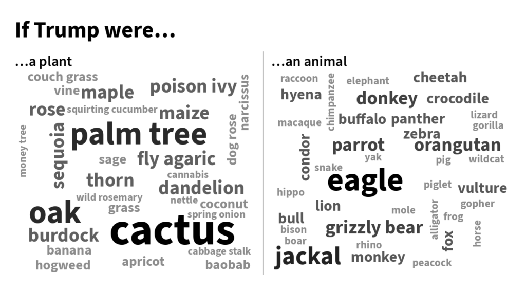 Wordcloud trump desktop