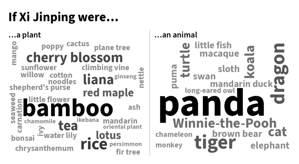 Wordcloud xi desktop