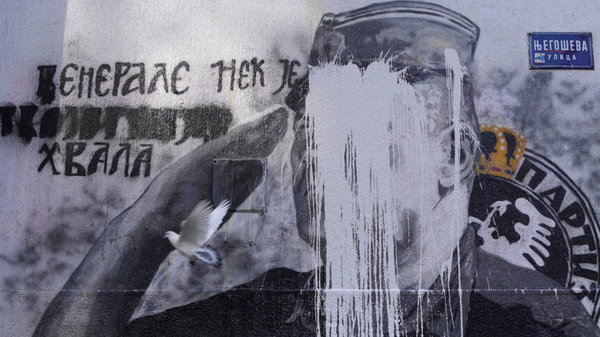 A white pigeon flies by a mural of former Bosnian Serb military chief Ratko Mladic vandalized with white paint in Belgrade, Serbia, Wednesday, Nov. 10, 2021. Policemen were deployed Tuesday at the site of a large wall painting in Belgrade of convicted Bosnian Serb wartime commander Ratko Mladic which rights activists wanted to remove. The gathering, which was to coincide with the international day of anti-Fascism and anti-Semitism, was banned by the police which said that they were preventing possible clashes between the activists and the right-wing nationalists who consider the Serb general a hero. (AP Photo/Darko Vojinovic)